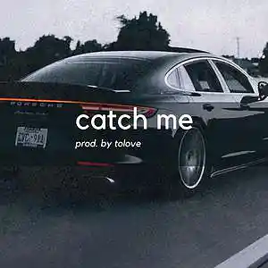 Picture for song 'Catch Me' by artist 'Tolove'