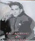 Picture for song 'D Boy - Cease the Peace' by artist 'Top Hits'