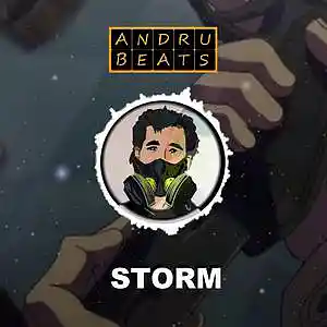 Picture for song 'Storm' by artist 'Andru Beats'