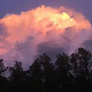 Picture for song 'Isle of Me' by artist 'Beats by Pixel'