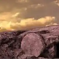 Song picture