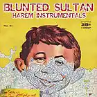 Picture for song 'des djinns' by artist 'Joanna Jane'