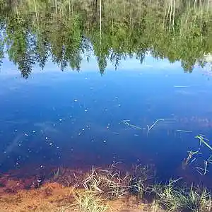 Picture for song 'Lake Ghosts' by artist 'Komar NeJanko'