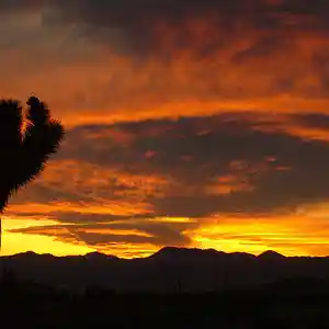 Picture for song 'Hxll on Evrth' by artist 'Mozeuz'