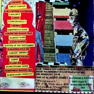 Picture for song '20 Wallpaper - Mescaline Overcoat' by artist 'The End Transmission'