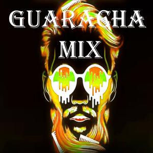 Picture for song 'Guaracha Mix' by artist 'DJ Travesura'