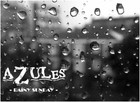 Picture for song 'Rainy sunday' by artist 'Azules'