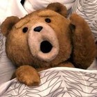 Picture for song '*DUBSTEP*Ted Dubstep (Crazy-Drop)' by artist 'Big C TV'
