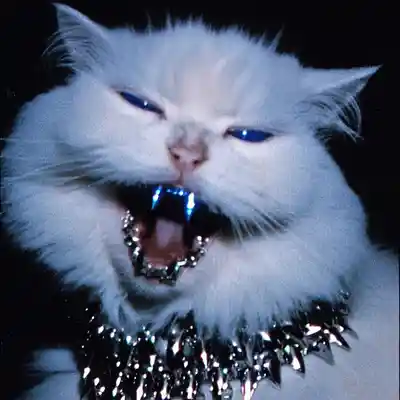 Picture for song 'FAKE SMILE' by artist 'Blu Music Groups'