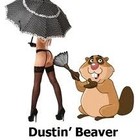 Picture for song 'Dustin Beaver | FREE DL' by artist 'buybeatsandtracks.com'