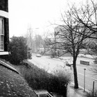 Picture for song 'Winter of Discontent' by artist 'Cactus Juice'