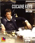 Picture for song 'Cocaine Keys' by artist 'ChriS JetSon'
