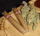 Picture for song 'Wake & Bake-Free DL' by artist 'CrucialE'