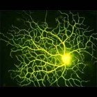 Picture for song 'Hyperion' by artist 'Cruelplanet'