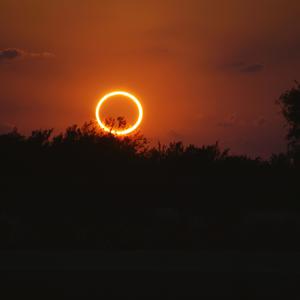 Picture for song 'Ring of Fire/Dreamtripping/Mother' by artist 'DM Church'