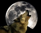 Picture for song 'When Zen Comes-Lyrics...' by artist 'Earth Blues 2'
