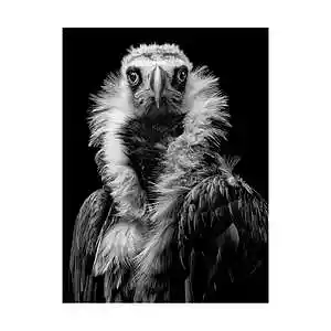 Picture for song 'Wonka' by artist 'Eminence beats'