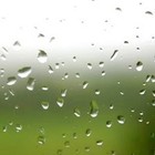 Picture for song 'It's drizzling.mp3' by artist 'Denn AL'