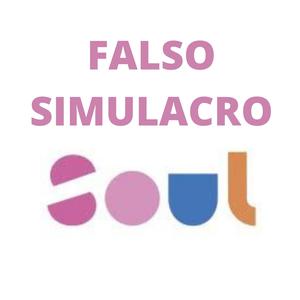 Picture for song 'Soul' by artist 'Falso Simulacro'