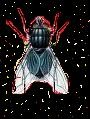 Picture for song 'The Space Fly' by artist 'Finnski'