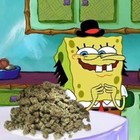 Picture for song 'Kush Dreams (Free DL)' by artist 'Fly High Beats'