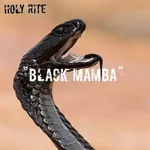 Picture for song 'NLE choppa [Black Mamba]' by artist 'HOLY RITE'