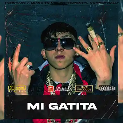 Picture for song '(MI GATITA) Standly Type Beat Reggaeton' by artist 'Jake Produce'