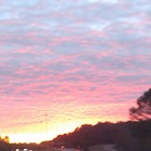 Picture for song 'Journey in a dream' by artist 'JamJuice'