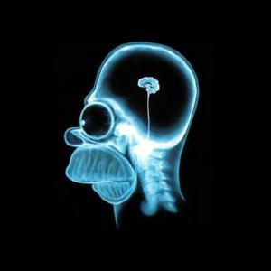 Picture for song '(TRAP) Lil Pump X Roddy Rich Type Beat 'Flexin'' by artist 'Jays Music'