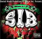 Picture for song 'ATX Juggalo' by artist 'J Biz R'