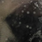 Picture for song 'The Stovepipe' by artist 'Jeff Mellgren'