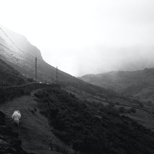 Picture for song 'Forever True (Featuring Rick Smerage on Keys)' by artist 'John Matteson'