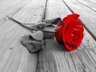 Picture for song 'Your love "2011 Anthem" Lease it now $15.99' by artist 'KiNg JoNeS PrOdUcTiOnZ'