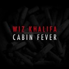 Picture for song 'Cabin Fever' by artist 'LEXI BANKS'