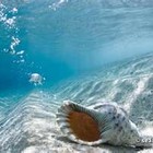 Picture for song 'Underneath' by artist 'LilLegend'