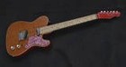 Picture for song 'minutethirty chicken.mp3' by artist 'Mickey Dean and His Talking Guitar'