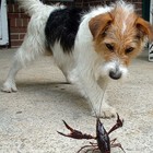 Picture for song 'I Dare Ya' by artist 'NR01'