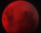 Picture for song 'Moon Time Meet the Pleiadians' by artist 'OK Creative'