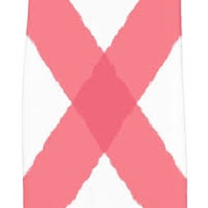 Picture for song 'Nantucket Big Pink: At The Rio Blanco' by artist 'paul gorman and the hypnotist collectors'