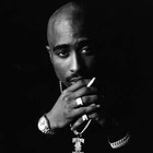 Picture for song 'Old West Coast Type' by artist 'Primo Audio Beats'