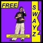 Picture for song 'Fight for Release(SwayZ)' by artist 'Redline Records'