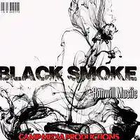 Picture for song 'Black Flags Inst ' by artist 'Ronwill Musiic'