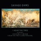 Picture for song 'A Spirit' by artist 'Savage Ohms'