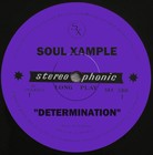Picture for song 'Determination' by artist 'Soul Xample'