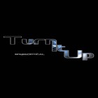 Picture for song 'Turn It Up.mp3' by artist 'Stereoptical'