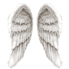 Picture for song 'T.D.B Ent 101 Angel wings' by artist 'TDBeatzzz'