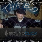 Picture for song 'Tha Real U - Paul Pain & Tha BG Tokaz Town' by artist 'Tha BG'