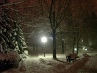 Picture for song 'Silent Night | (Architekz.com)' by artist 'The Architekz'