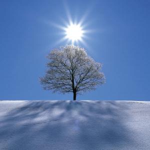 Picture for song 'Acoustic' by artist 'Treacle Smith'