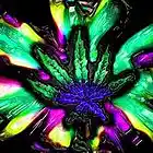Picture for song 'Toxic Plants ::(Prod. by Walking Beatz)' by artist 'Walking Beatz'
